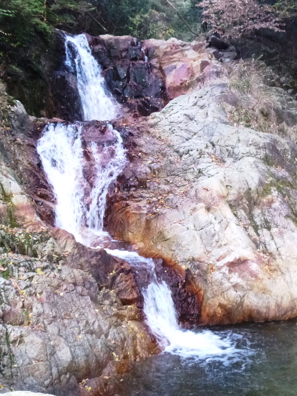 d0170615_221784.jpg