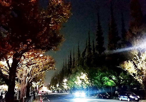 f0327416_10365789.jpg