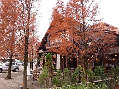 c0084117_1058364.jpg