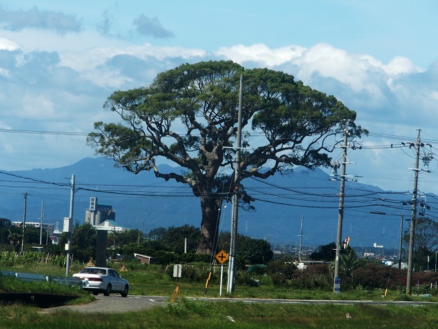 e0339317_22221848.jpg