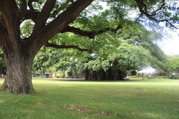 f0162319_23264677.jpg