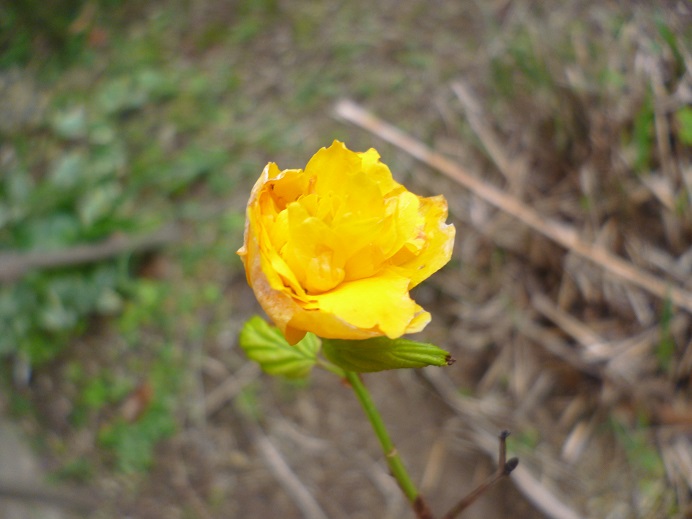 f0228619_2354788.jpg