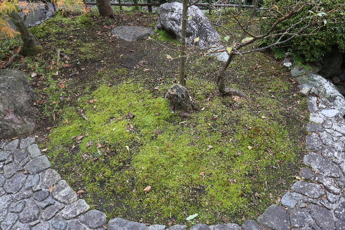 f0103126_210163.jpg