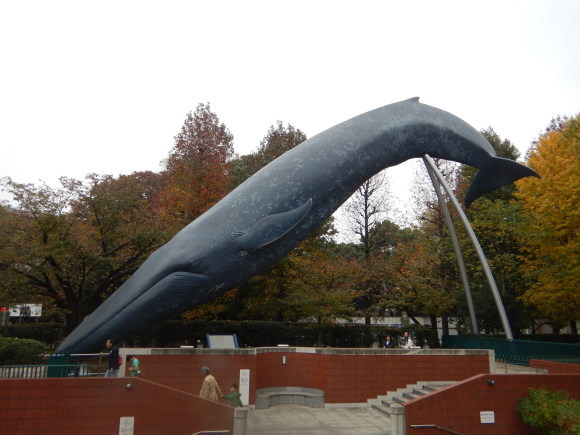 f0118332_15221906.jpg