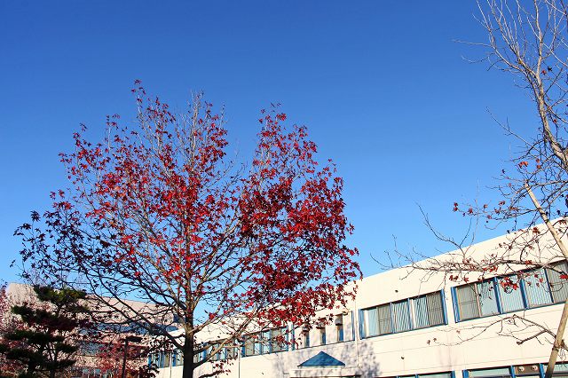 a0242438_19541234.jpg