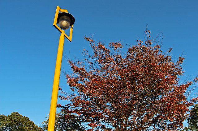 a0242438_19565289.jpg