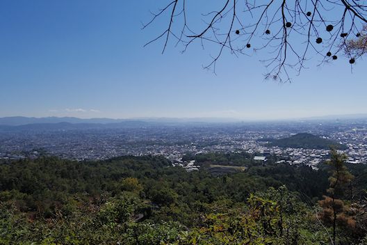 c0032138_2111891.jpg