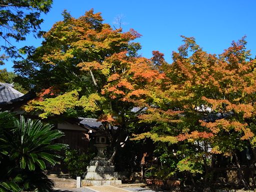 c0032138_216234.jpg