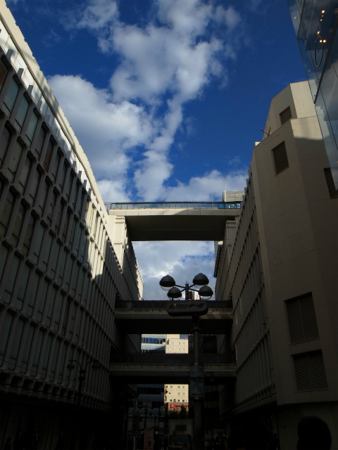 a0087341_23421552.jpg