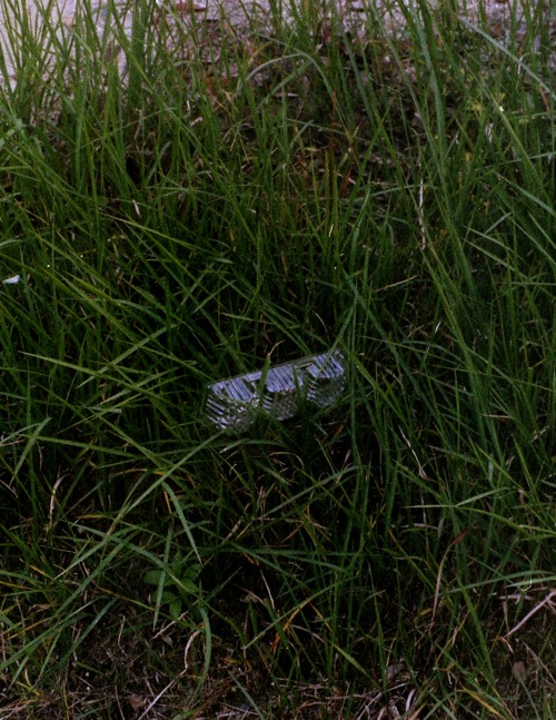 d0089742_2135678.jpg