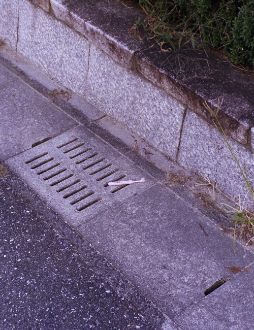 d0089742_2182486.jpg