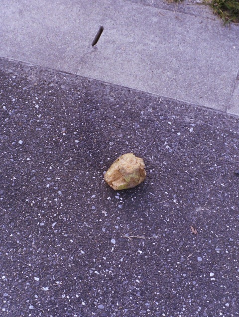 d0089742_2185112.jpg