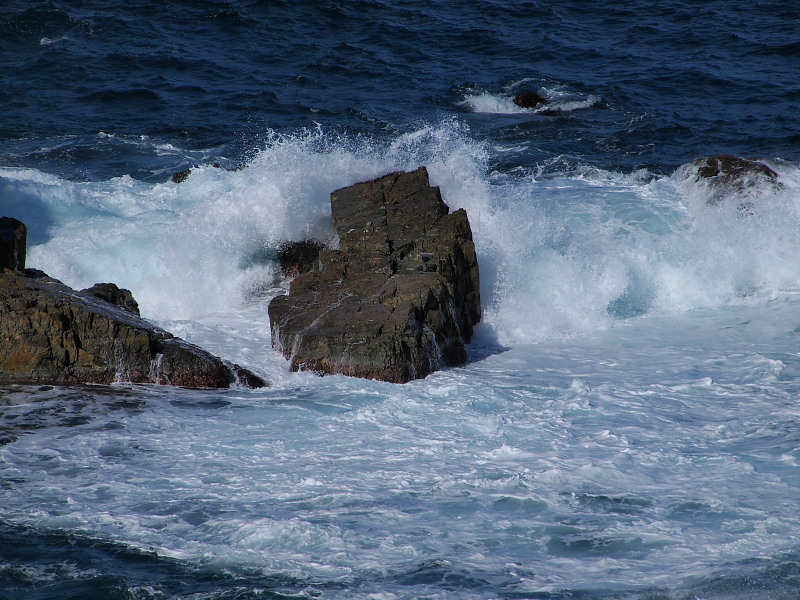 a0106043_23585759.jpg