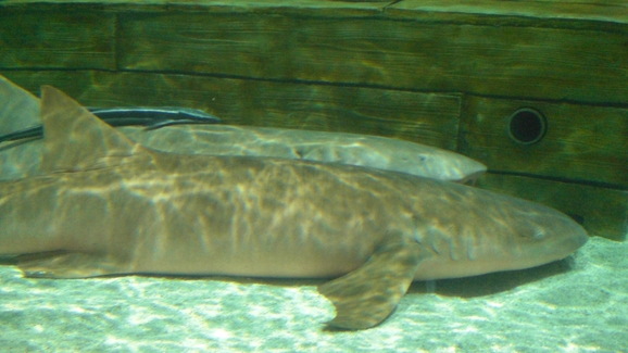 a0006545_733024.jpg
