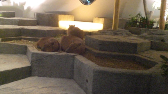 a0006545_7341929.jpg