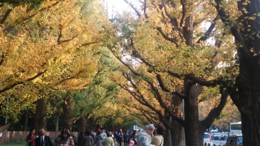 f0309148_19341638.jpg