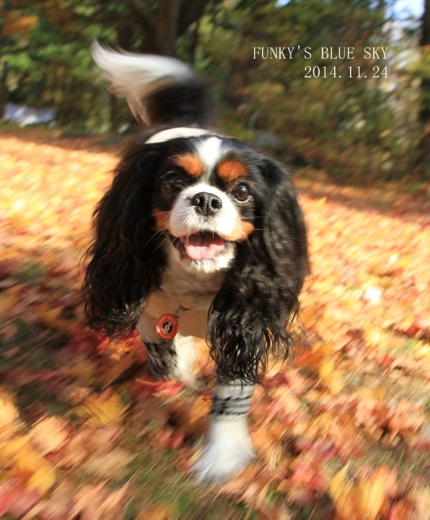 c0145250_09441002.jpg