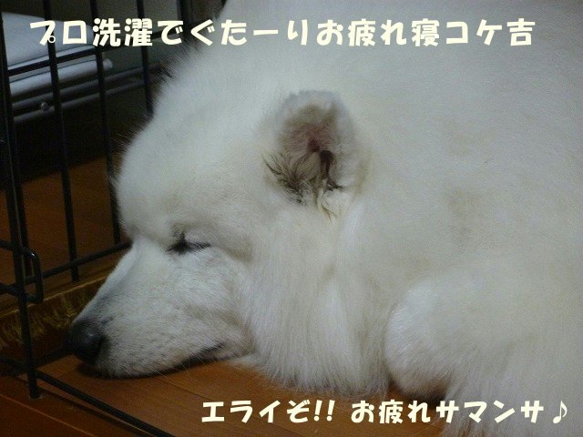 e0176159_15114801.jpg