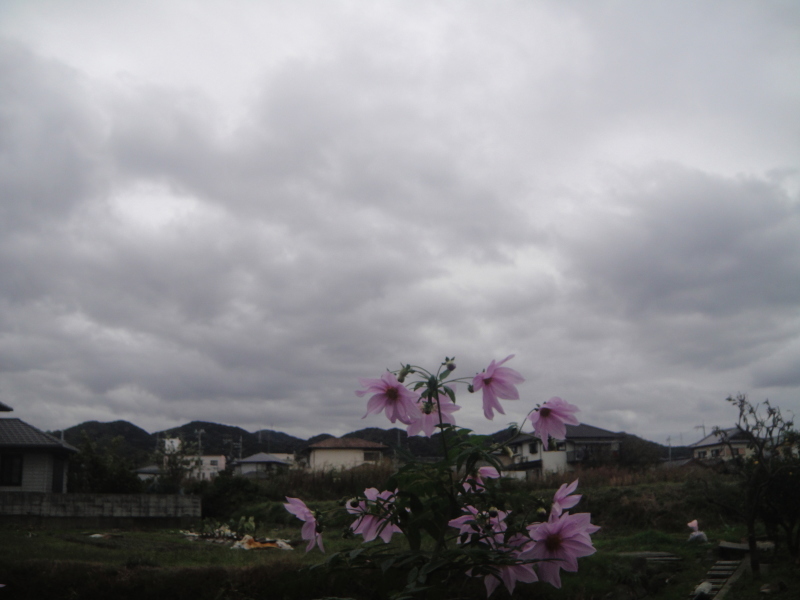 c0108460_18003726.jpg
