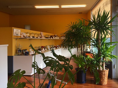 e0001860_22384486.jpg