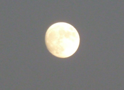 e0278968_22320866.jpg