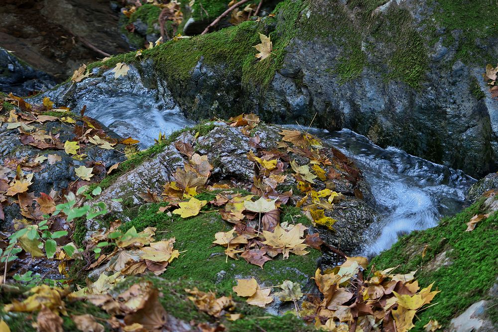 f0234982_1431064.jpg