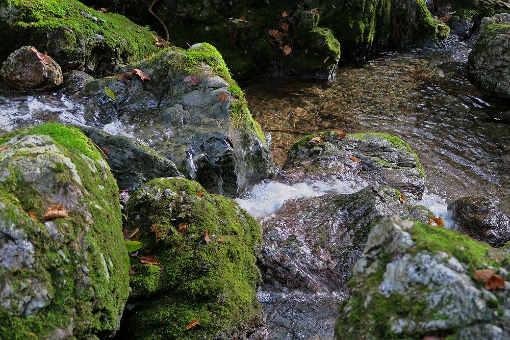 f0234982_143178.jpg