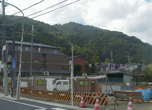 d0053294_0135280.jpg