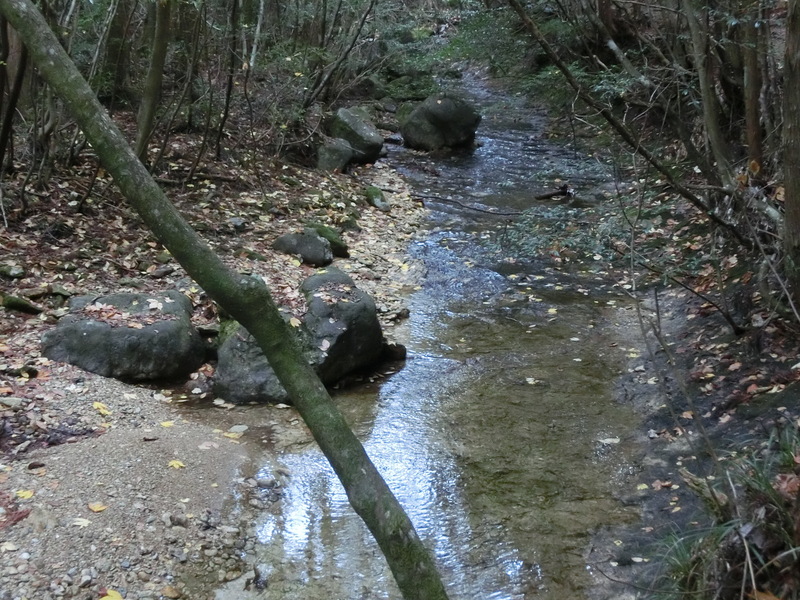 d0151699_0382362.jpg