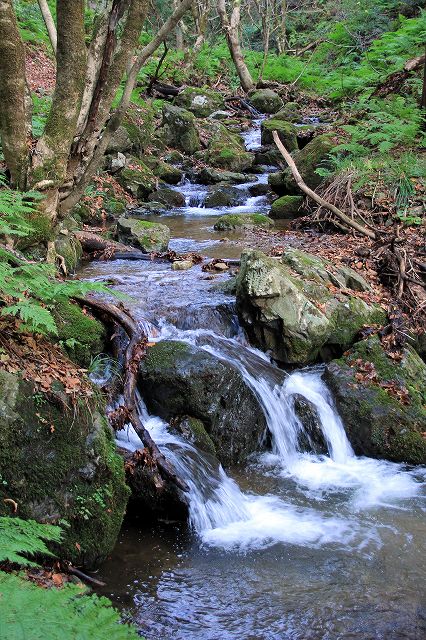 e0137200_2311812.jpg