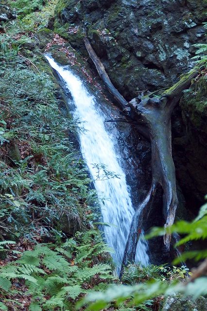 e0137200_2312862.jpg