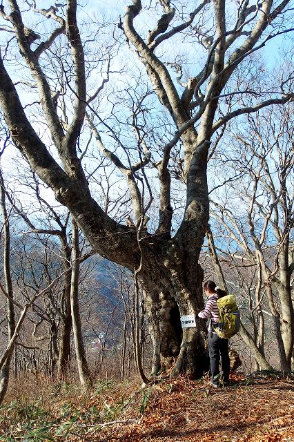 e0137200_23133357.jpg
