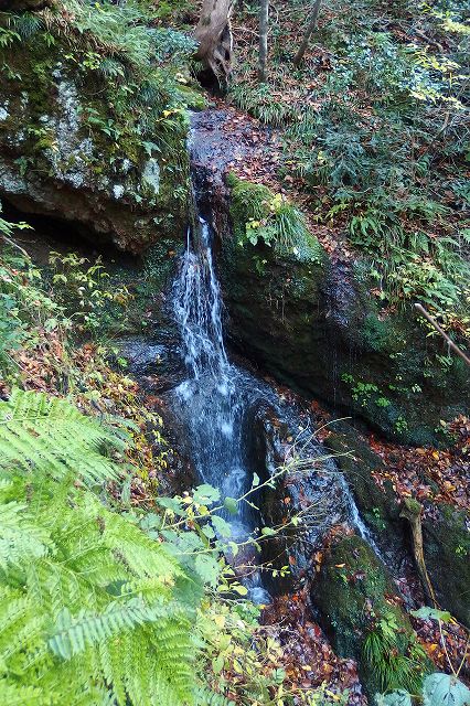 e0137200_2313625.jpg