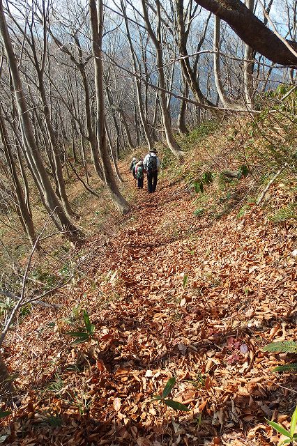 e0137200_2313913.jpg