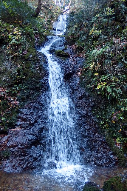 e0137200_2315571.jpg