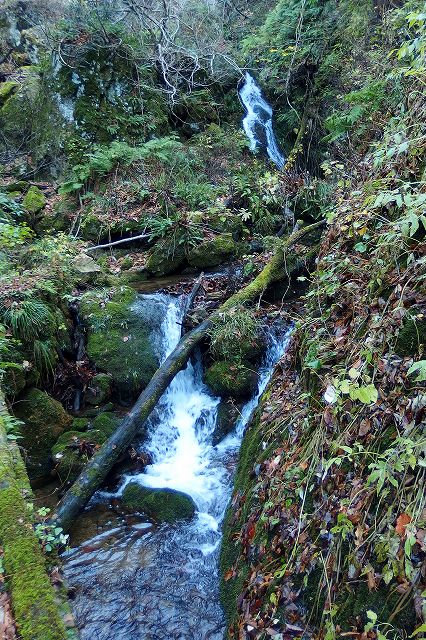 e0137200_2321696.jpg