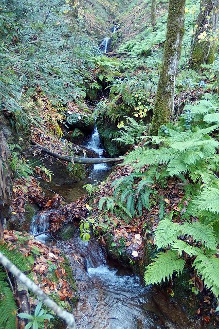 e0137200_2323279.jpg