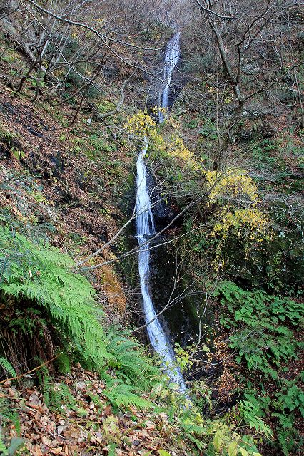 e0137200_2324479.jpg