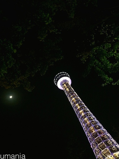 b0061004_12142754.jpg