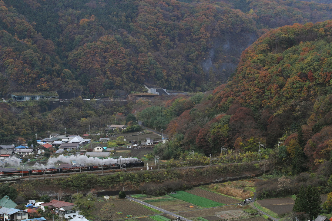 b0190710_21564973.jpg