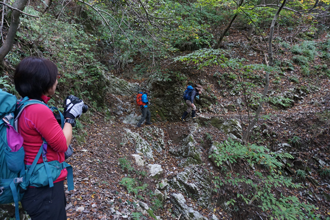 e0077010_2228137.jpg