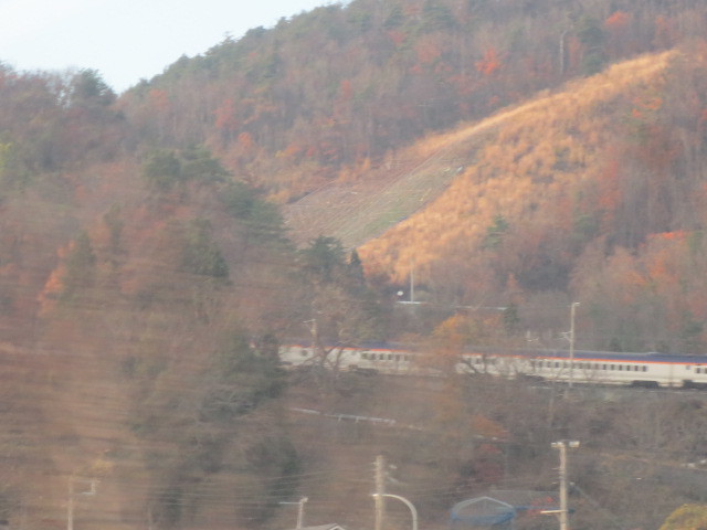 f0248616_08584693.jpg