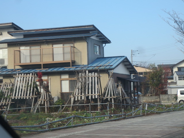 f0248616_08590400.jpg