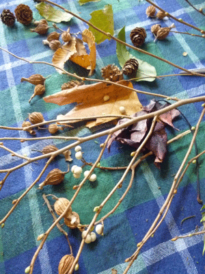 e0312121_2333572.gif