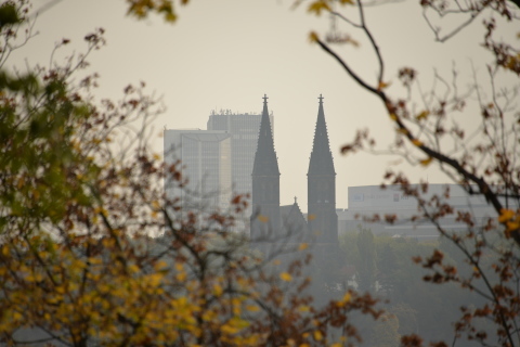 e0335926_19532009.jpg