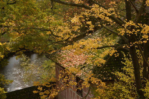 e0335926_21081941.jpg