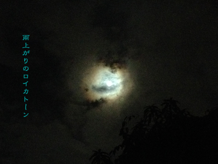 d0042827_22595046.jpg