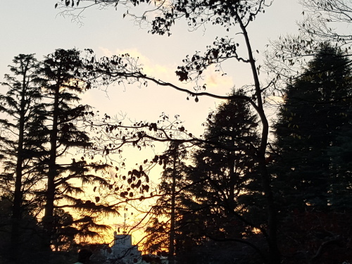 e0016828_12201837.jpg
