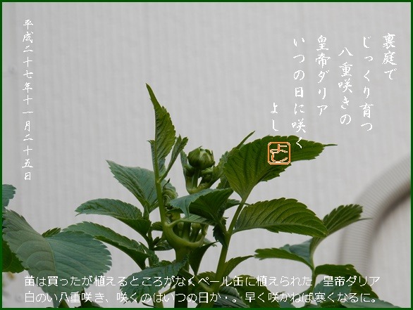e0033229_2254534.jpg