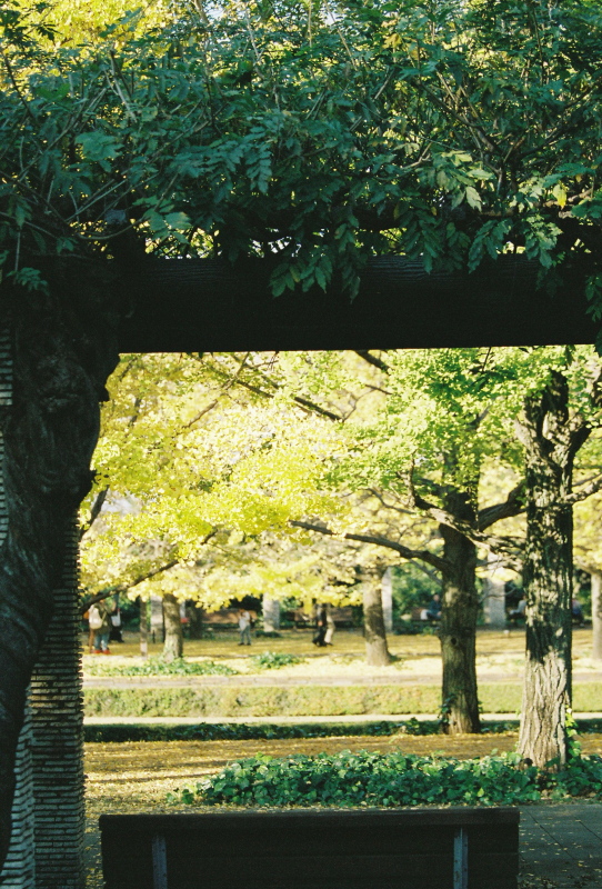 f0358531_1236412.jpg